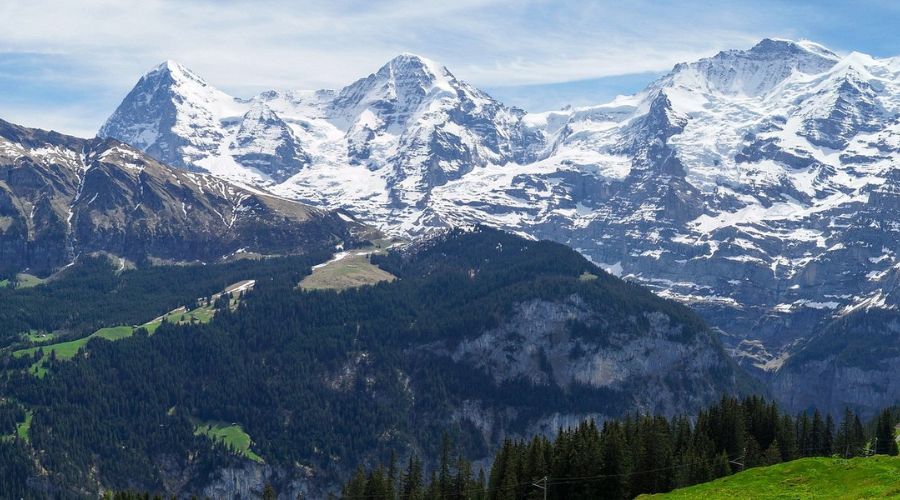 Swiss Alps | The Pennywize