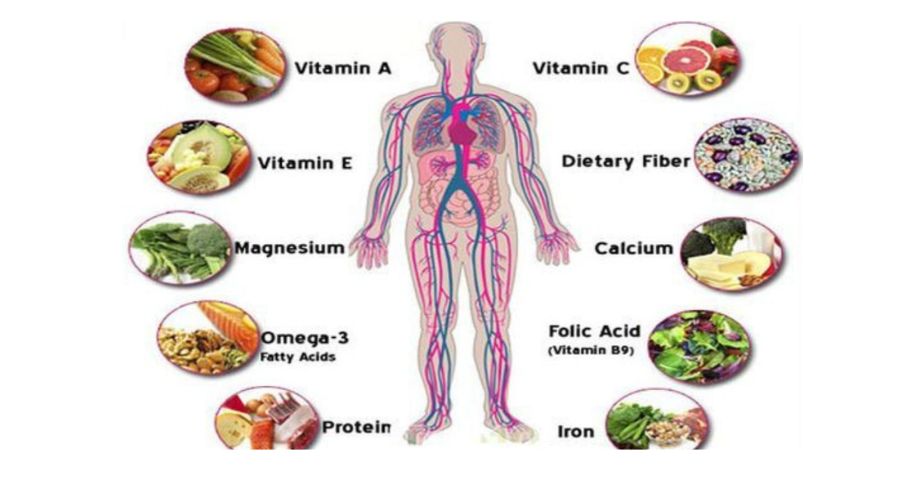 Types of nutrients