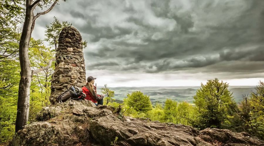 Bavarian Forest, Germany: A Paradise for Nature Lovers