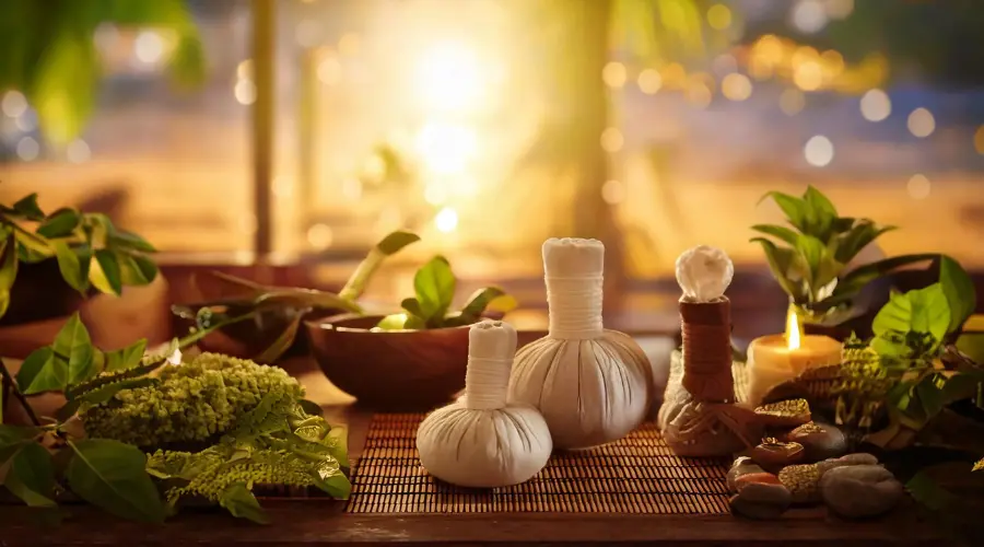 Modern Ayurveda Practices