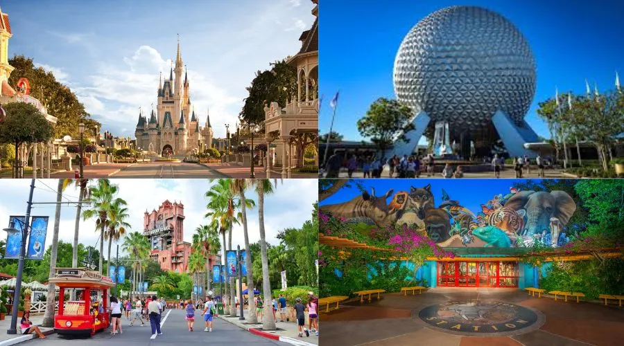 Four Disney Parks - Magic Kingdom, EPCOT, Hollywood Studios, Animal Kingdom